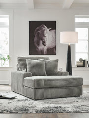 Hoover Furniture Outlet - Ashley Furniture - Lindyn Chaise - Chaise - 2110515