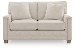Rayne-Cove Loveseat