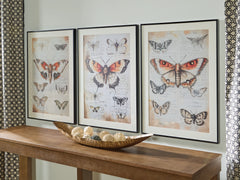 Hoover Furniture Outlet - Ashley Furniture - Jossletts Wall Art (Set of 3) - Wall Art Set (3/CN) - A8000490