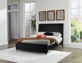 Hoover Furniture Outlet - Ashley Furniture - Danziar Queen Panel Bed - Queen Panel Bed - B1013B2