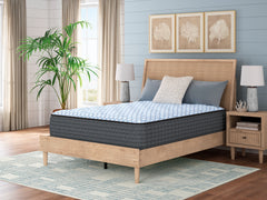 Hoover Furniture Outlet - Ashley Furniture - Destin Cove Plush Twin XL Mattress - Twin XL - M33171
