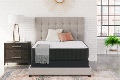 Hoover Furniture Outlet - Ashley Furniture - Limited Edition Firm Full Mattress - Full - M41021