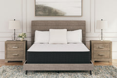 Hoover Furniture Outlet - Ashley Furniture - Limited Edition Plush Queen Mattress - Queen - M41131