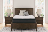 Hoover Furniture Outlet - Ashley Furniture - Limited Edition PT California King Mattress - California King - M41251