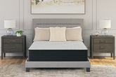 Hoover Furniture Outlet - Ashley Furniture - Palisades Firm Full Mattress - Full - M41521