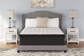 Hoover Furniture Outlet - Ashley Furniture - Palisades ET King Mattress - King - M41741