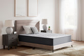 Hoover Furniture Outlet - Ashley Furniture - Anniversary Edition Plush Full Mattress - Full - M42121