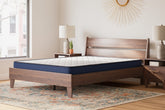 Hoover Furniture Outlet - Ashley Furniture - Ashley Firm Queen Mattress - Queen - M44531