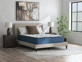 Hoover Furniture Outlet - Ashley Furniture - Limited Edition Firm 3.0 Full Mattress - Full - M45021