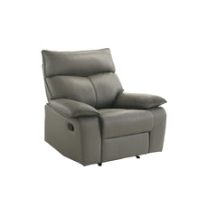 Wildcat Motion Recliner in Aviarah Grey