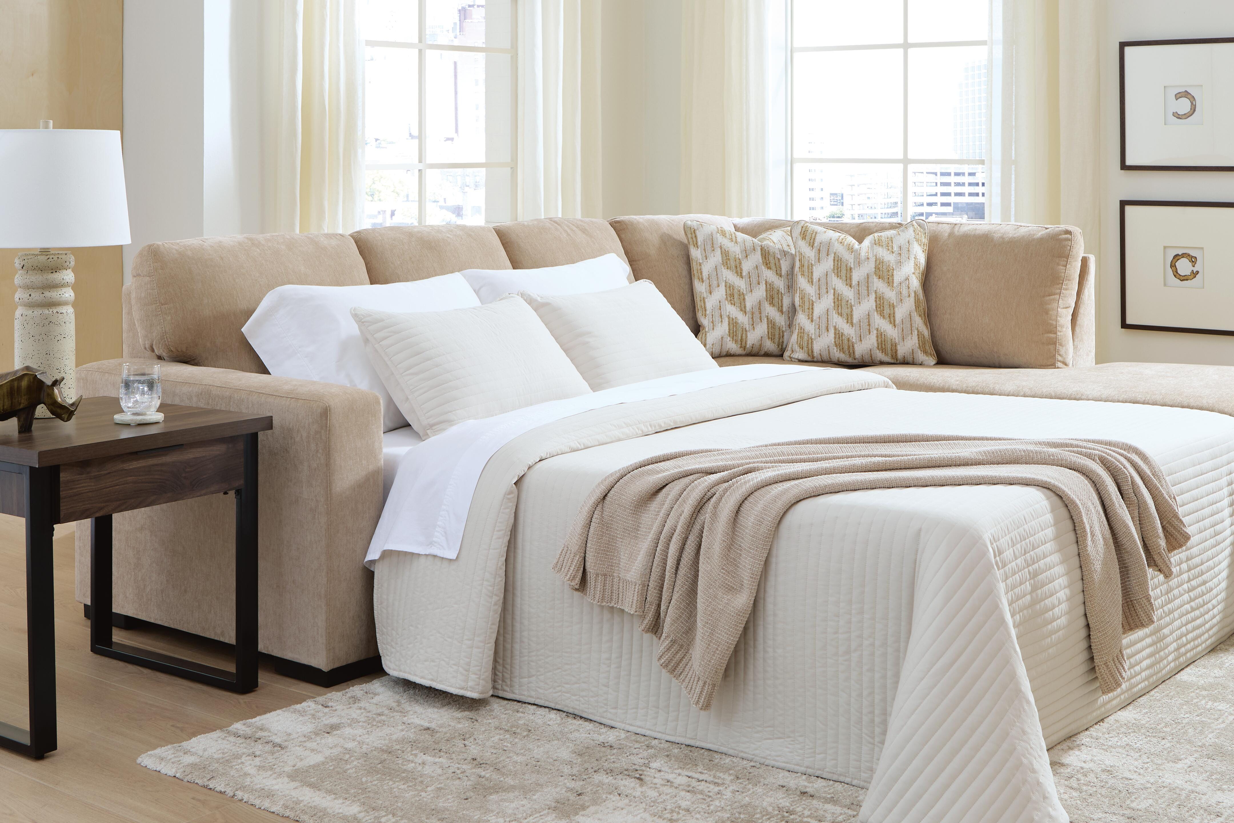 Hoover Furniture Outlet - Ashley Furniture - Bridgepoint 2-Piece Sleeper Sectional with Chaise - 2-Piece Sleeper Sectional with Chaise - PC69507S5