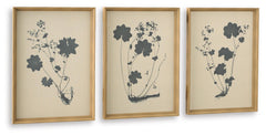Huddwick Wall Art (Set of 3)