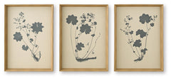 Huddwick Wall Art (Set of 3)