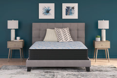 Hoover Furniture Outlet - Ashley Furniture - Elite Springs Firm Twin Mattress - Twin / Gray/Blue - M40511