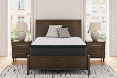 Hoover Furniture Outlet - Ashley Furniture - Limited Edition PT Twin Mattress - Twin - M41211
