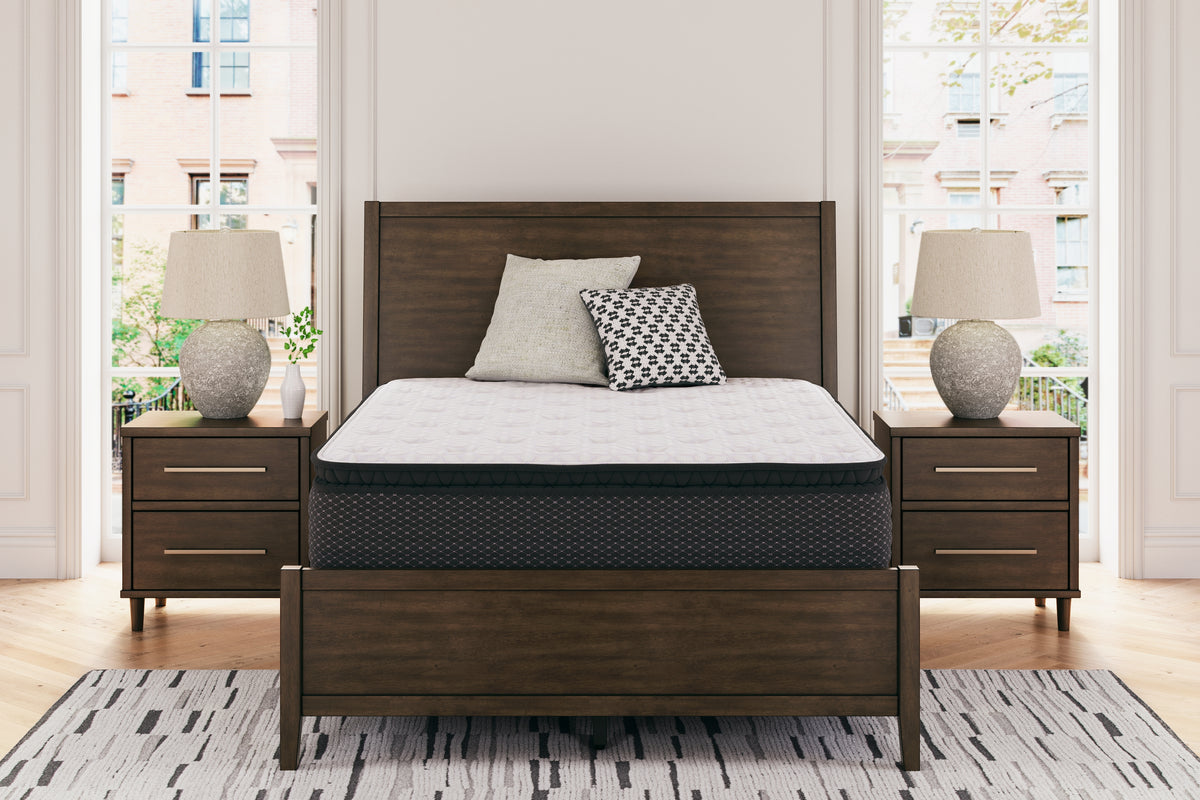 Hoover Furniture Outlet - Ashley Furniture - Limited Edition PT Full Mattress - Full - M41221