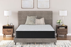 Hoover Furniture Outlet - Ashley Furniture - Palisades Plush Full Mattress - Full / Gray/Blue - M41621