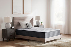 Hoover Furniture Outlet - Ashley Furniture - Anniversary Edition Plush Queen Mattress - Queen - M42131