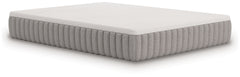 Terra Sleep Medium Queen Mattress