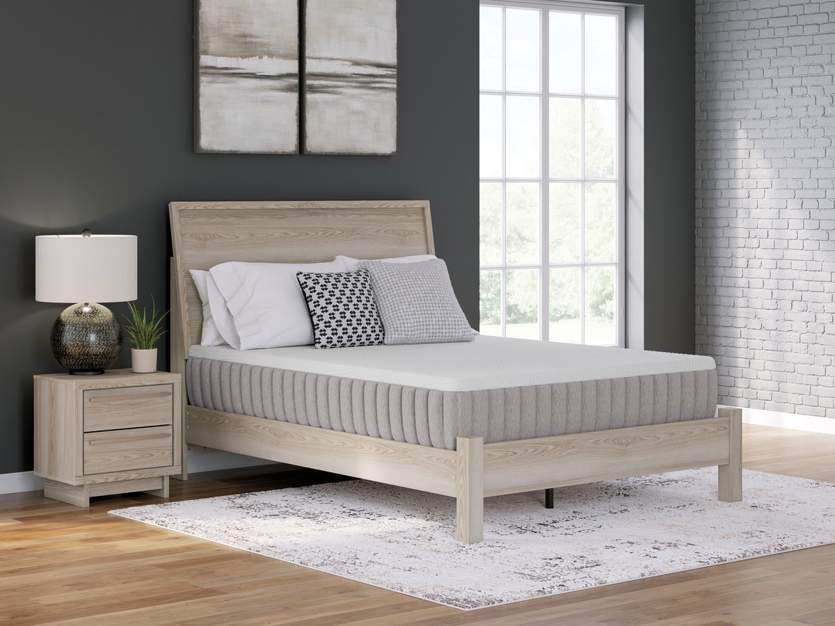 Hoover Furniture Outlet - Ashley Furniture - Terra Sleep Medium King Mattress - King - M52341