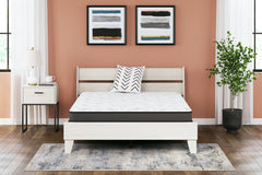 Hoover Furniture Outlet - Ashley Furniture - 8 Inch Bonnell Hybrid Queen Mattress - Queen / White - M58731