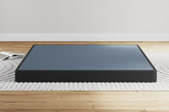 Hoover Furniture Outlet - Ashley Furniture - Low Profile Queen Foundation - Queen Foundation / Black - M78X32